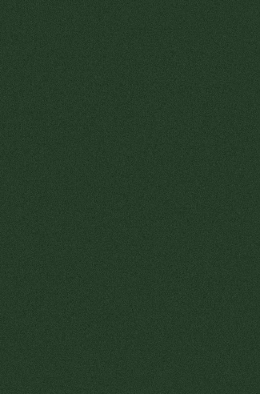 COLIZEY - P000 - GREEN