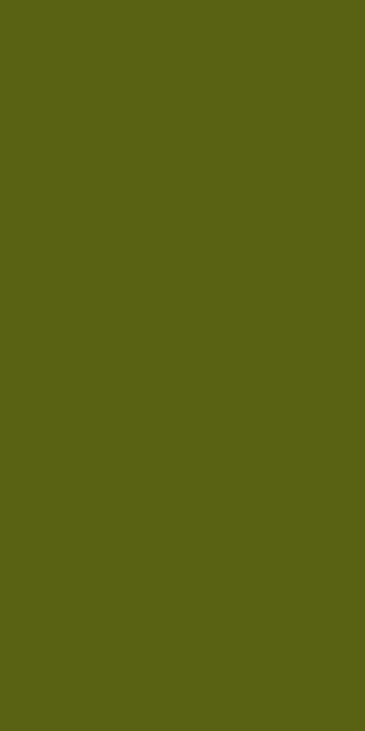 COMFORT SHAGGY 2 - s600 - GREEN 2