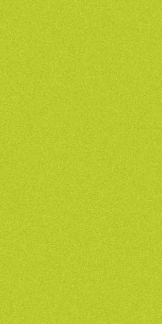 COMFORT SHAGGY 2 - s600 - GREEN