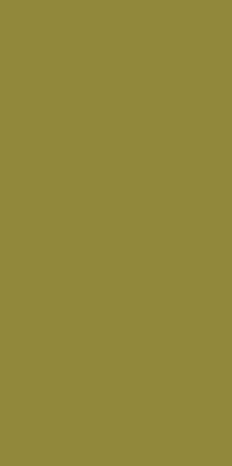 COMFORT SHAGGY 2 - s600 - LIGHT GREEN 2