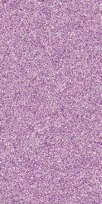COMFORT SHAGGY 2 - s600 - LILAC-MULTICOLOR