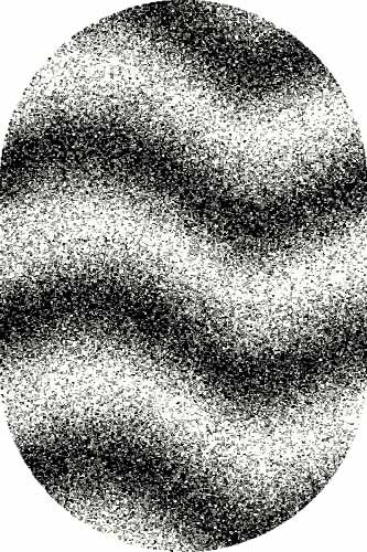 COMFORT SHAGGY 2 - s601 - BONE-BLACK