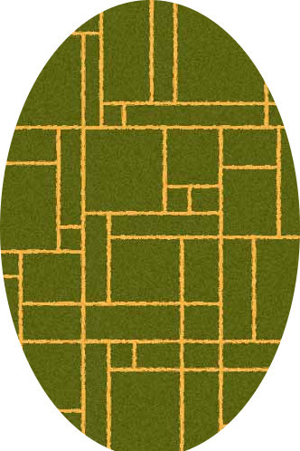 COMFORT SHAGGY 2 - s639 - GREEN-ORANGE