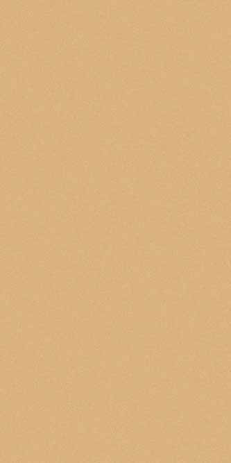 COMFORT SHAGGY - s600 - BEIGE DARK BEIGE