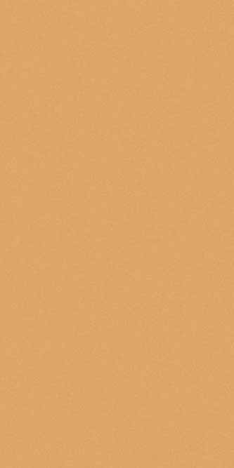 COMFORT SHAGGY - s600 - DARK BEIGE