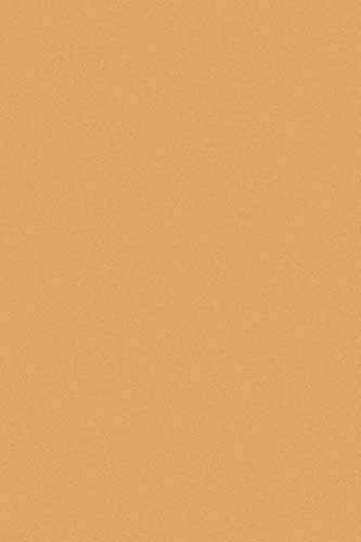 COMFORT SHAGGY - s600 - DARK BEIGE