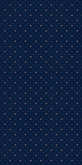 DA VINCI - p036 - NAVY