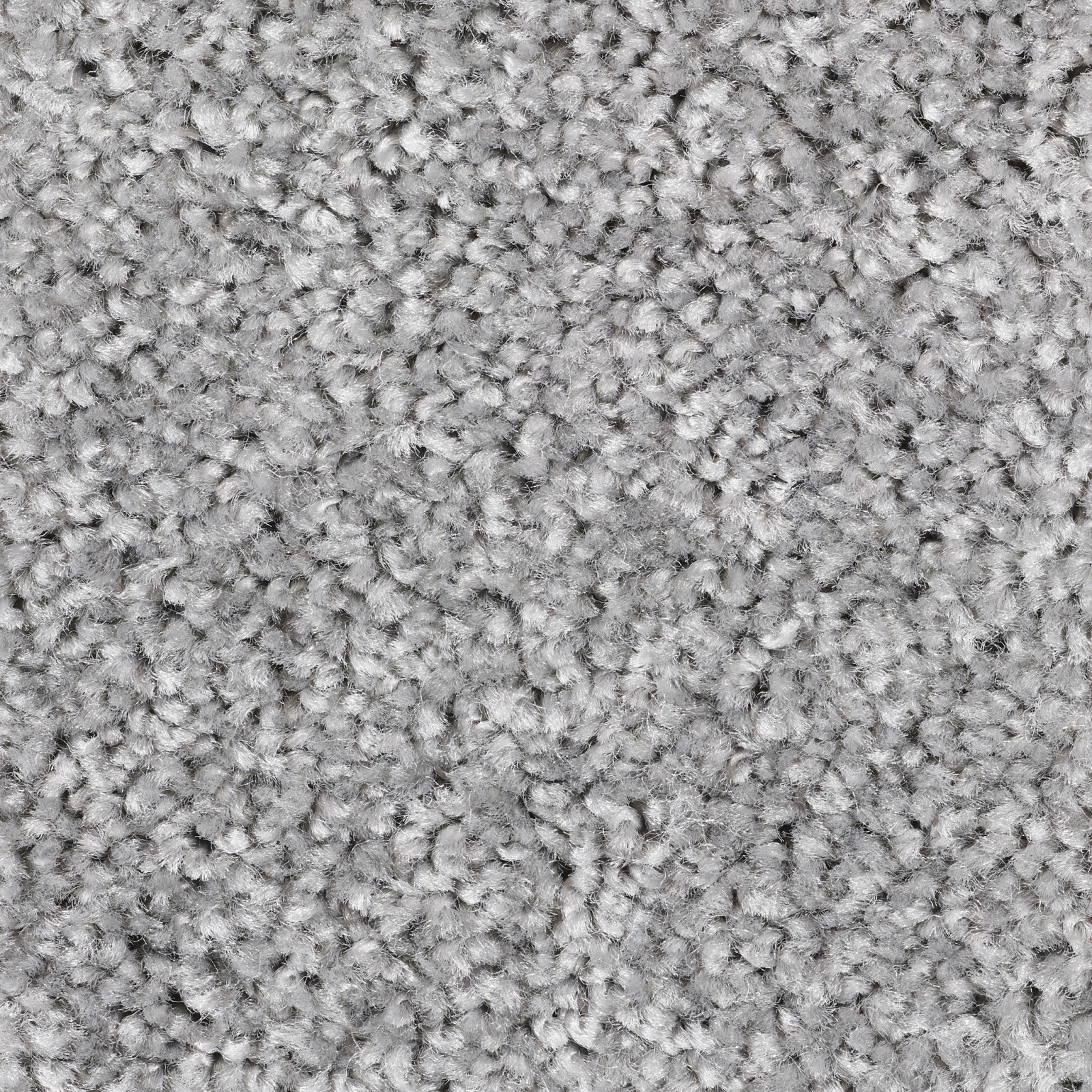 Echo - Echo - 156