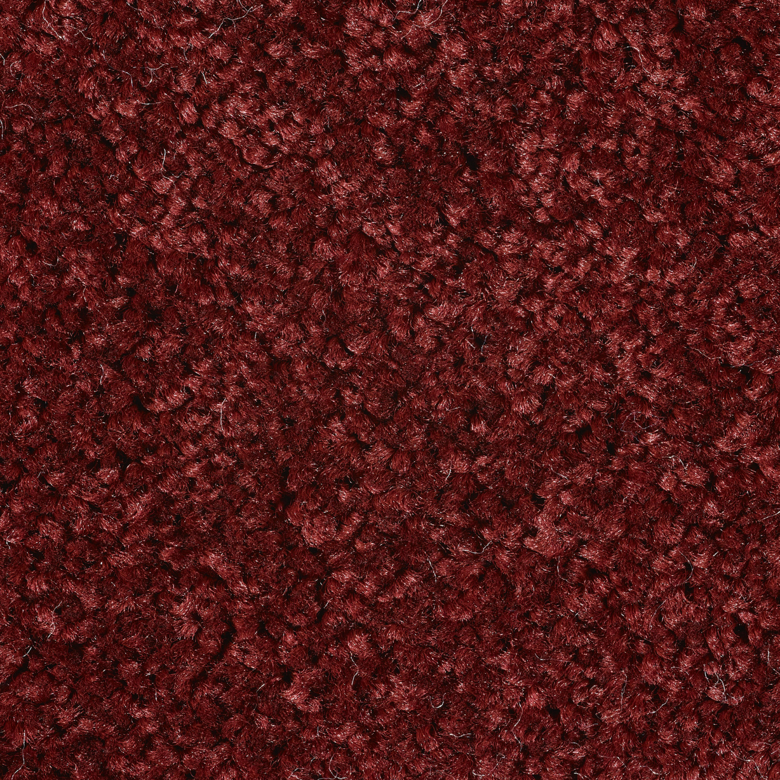 Echo - Echo - 445