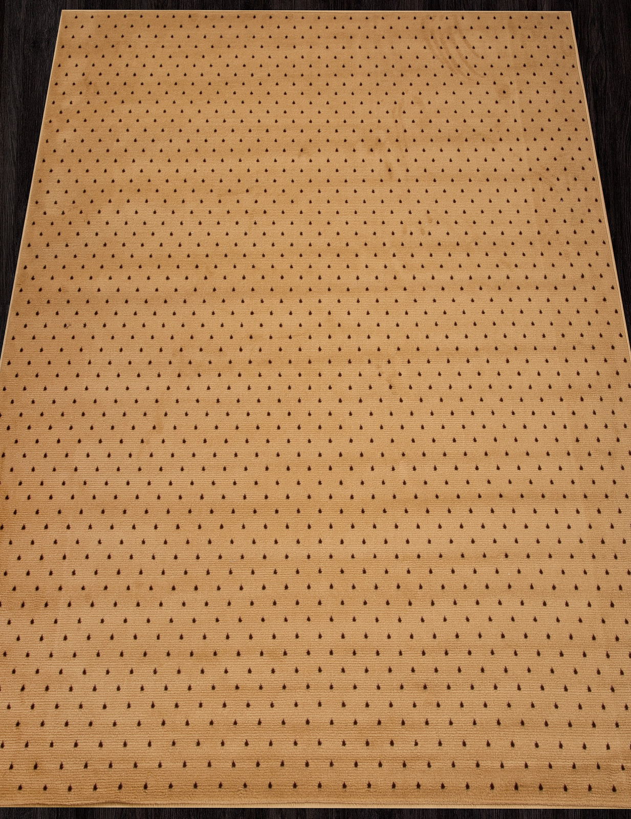 LAGUNA - P001 - BEIGE-BROWN 2