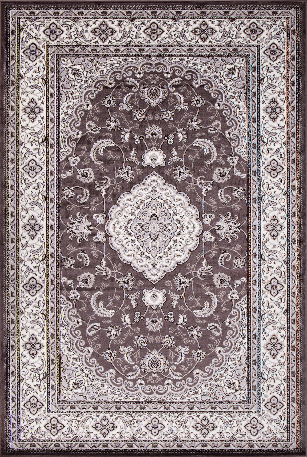 OLYMPOS 2 - D389 - PURPLE