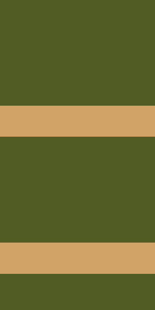 OLYMPOS - AHM1 - GREEN-BEIGE