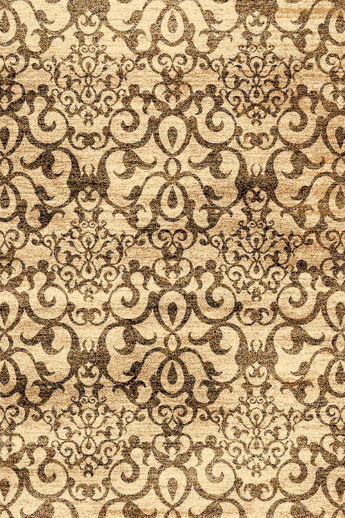 OLYMPOS - O559 - CREAM-BLACK