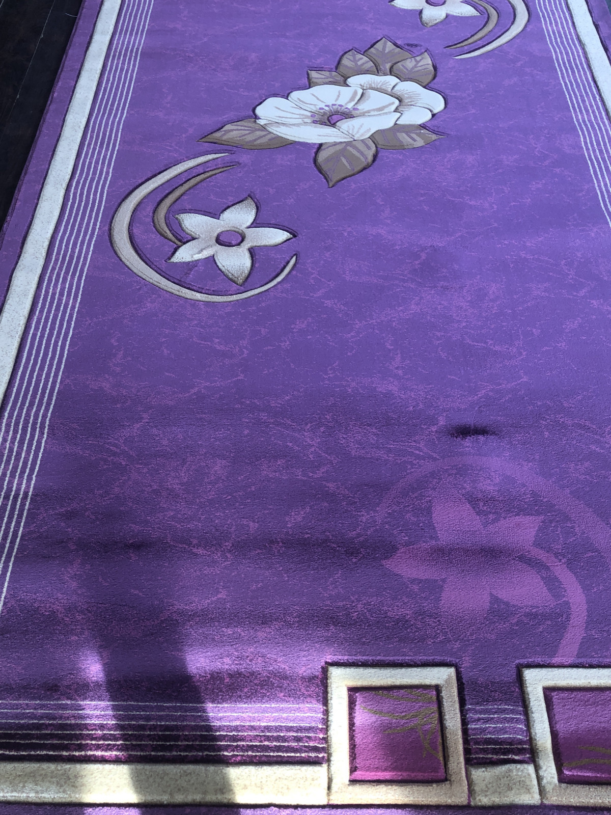 PACIFIC CARVING - 320 - VIOLET/CREAM