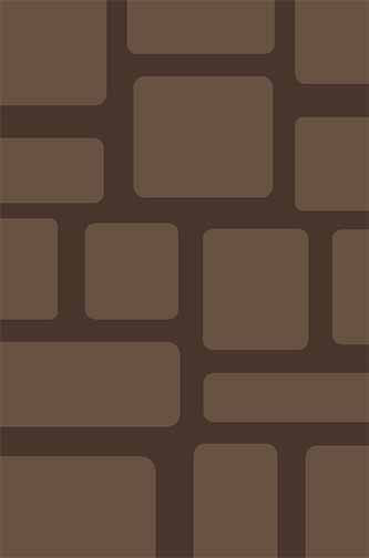 PLATINUM - s615 - BROWN 2