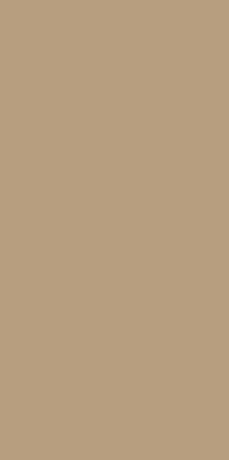 PLATINUM - t600 - BEIGE-D.BEIGE