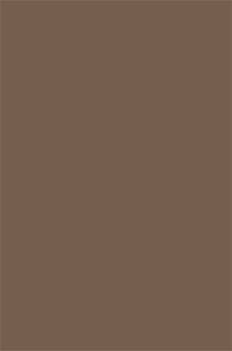 PLATINUM - t600 - BEIGE DARK BROWN