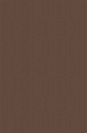 PLATINUM - t600 - BROWN 2