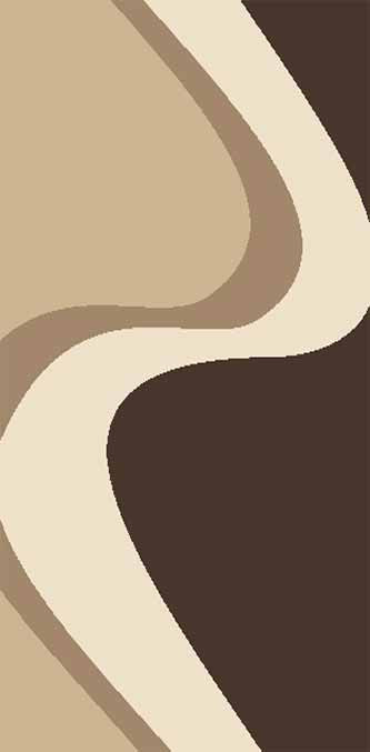 PLATINUM - t616 - BEIGE-BROWN 2