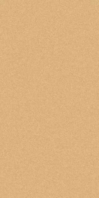 SHAGGY ULTRA - s600 - BEIGE-D.BEIGE