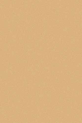 SHAGGY ULTRA - s600 - BEIGE DARK BEIGE