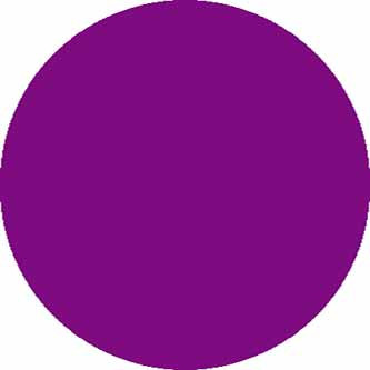 SHAGGY ULTRA - s600 - PURPLE