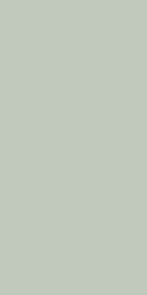 SILVER - P000 - LIGHT GRAY
