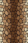 SUNRISE 2 - D046 - BROWN