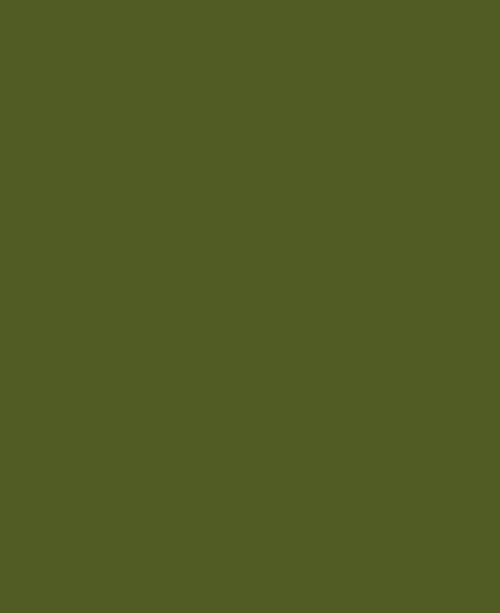 VALENCIA - P000 - GREEN