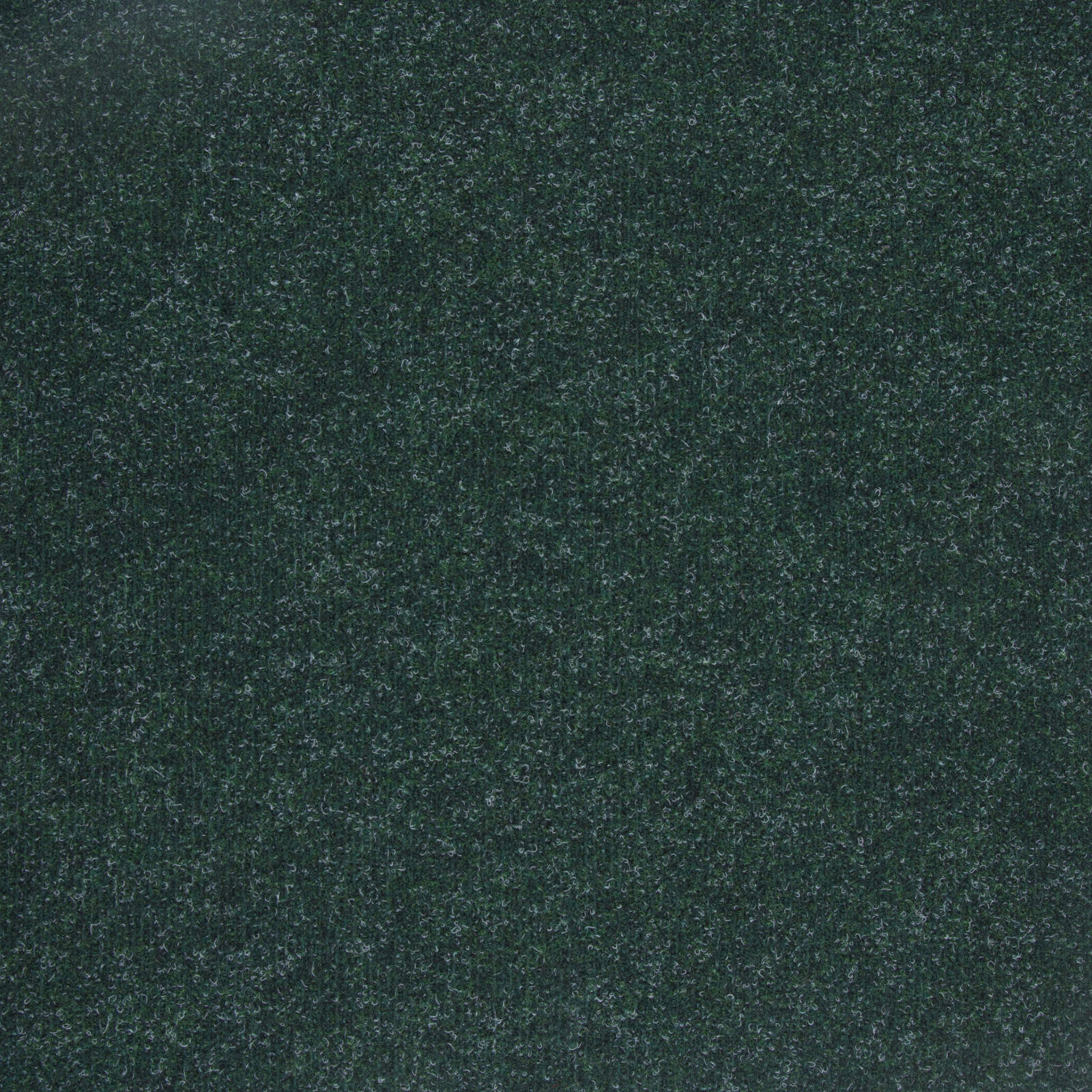 Varegem 3m - 0624 - FOREST