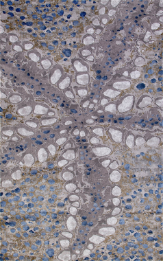 ARMODIES - 18800 - 953 GREY BLUE