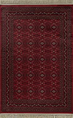 BELUCHI - 961557 - 1616