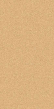 COMFORT SHAGGY 2 - s600 - BEIGE-D.BEIGE