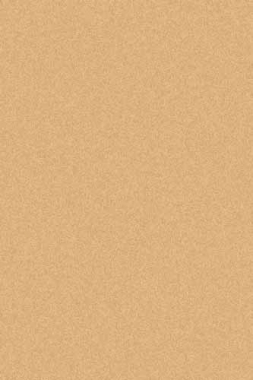 COMFORT SHAGGY 2 - s600 - BEIGE DARK BEIGE