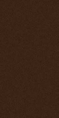 COMFORT SHAGGY 2 - s600 - BROWN