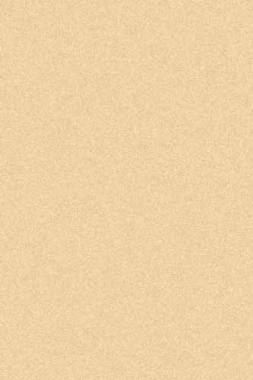 COMFORT SHAGGY 2 - s600 - CREAM-D.BEIGE