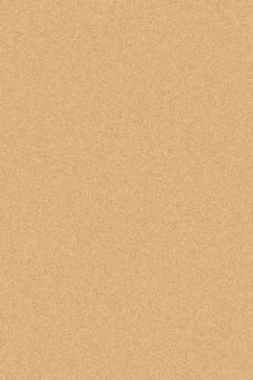 COMFORT SHAGGY 2 - s600 - D.BEIGE 2