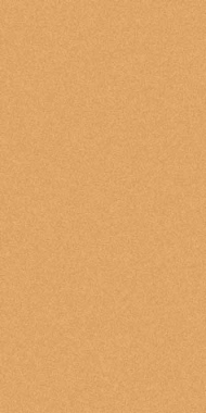 COMFORT SHAGGY 2 - s600 - DARK BEIGE