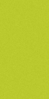 COMFORT SHAGGY 2 - s600 - GREEN