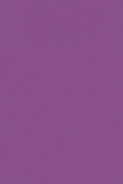 COMFORT SHAGGY 2 - s600 - LILAC-PURPLE