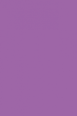 COMFORT SHAGGY 2 - s600 - LILAC