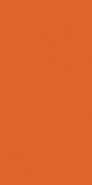 COMFORT SHAGGY 2 - s600 - ORANGE