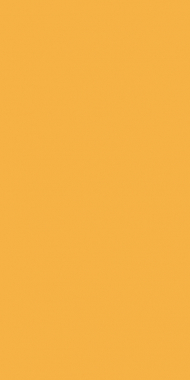COMFORT SHAGGY 2 - s600 - YELLOW 2