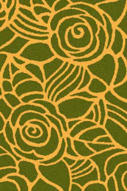 COMFORT SHAGGY 2 - s641 - GREEN-ORANGE