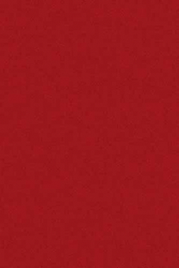 COMFORT SHAGGY - adum - RED