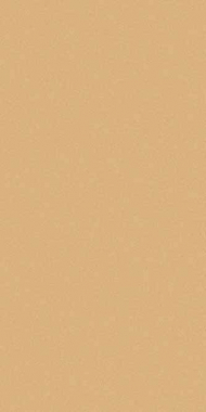 COMFORT SHAGGY - s600 - BEIGE DARK BEIGE