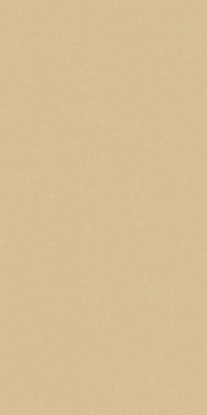 COMFORT SHAGGY - s600 - BEIGE