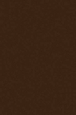 COMFORT SHAGGY - s600 - BROWN