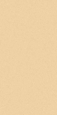 COMFORT SHAGGY - s600 - CREAM-D.BEIGE