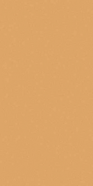 COMFORT SHAGGY - s600 - DARK BEIGE